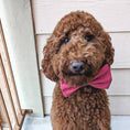 Load image into Gallery viewer, Burgundy Bowtie
