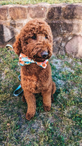 Load image into Gallery viewer, Poppy Bowtie
