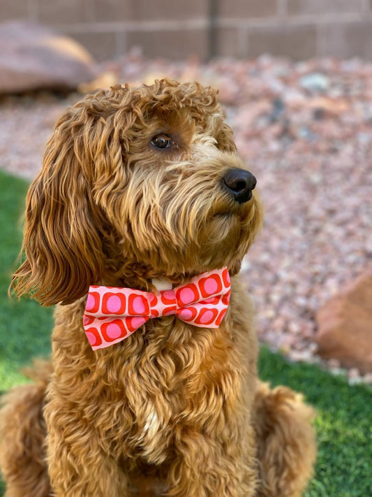 Coral Squares Bowtie