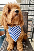 Load image into Gallery viewer, Starry Skies Dog Bandana

