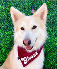 Load image into Gallery viewer, Pet Name Add On
