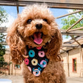 Load image into Gallery viewer, Do-nut Love Dog Bandana

