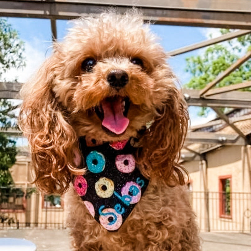 Do-nut Love Dog Bandana