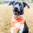 Load image into Gallery viewer, Autumn Breeze Flannel Dog Bandana

