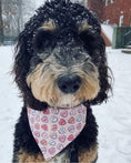 Load image into Gallery viewer, Cutie Pie Candy Dog Bandana
