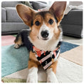 Load image into Gallery viewer, Fresh Roses Dog Bandana
