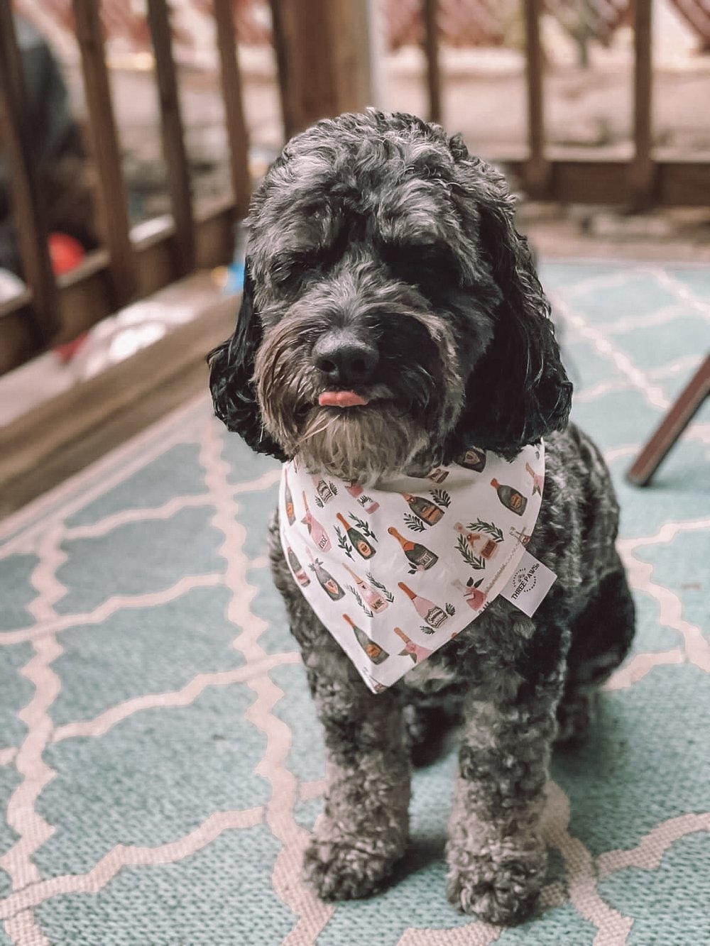 Wine Not Dog Bandana