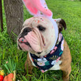 Load image into Gallery viewer, Navy Flowers Dog Bandana
